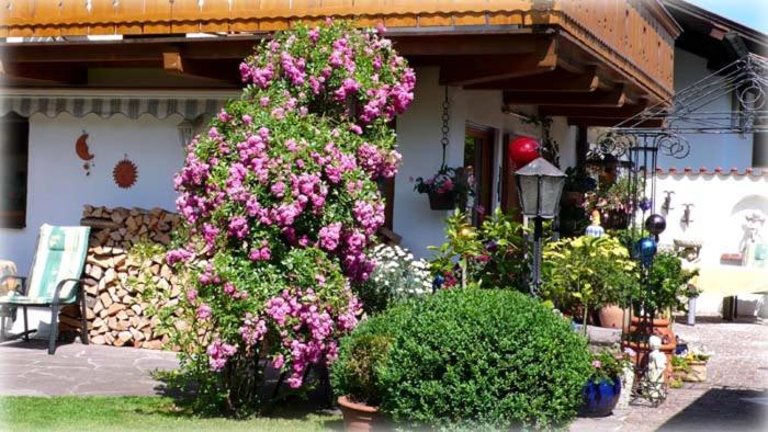 Regina Garmisch-Partenkirchen Exterior foto